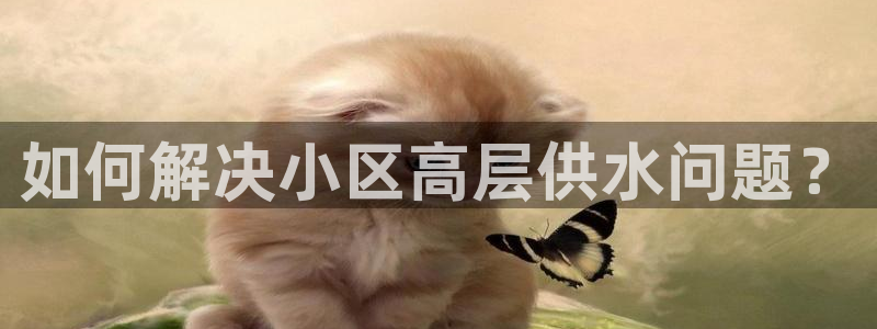 球友会不出款