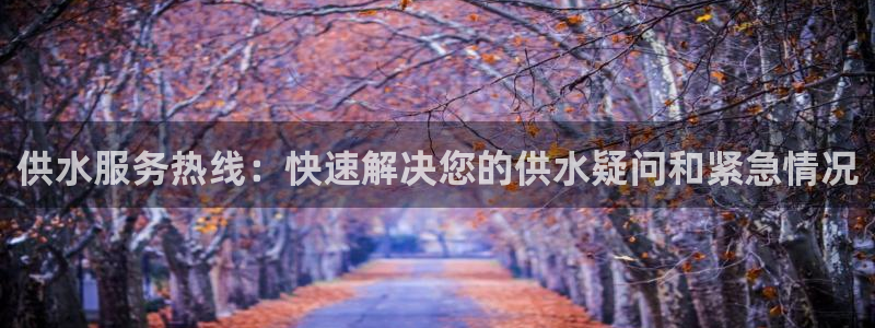 球友会体育app下载官网苹果