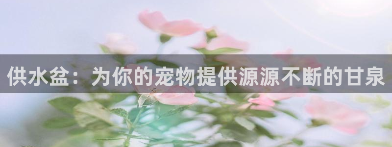 球友会app干啥的