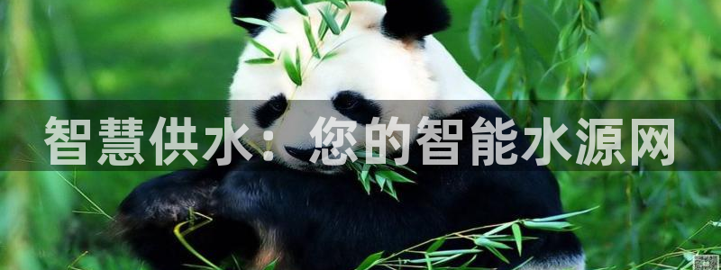 球友会友谊赛赛程赛果