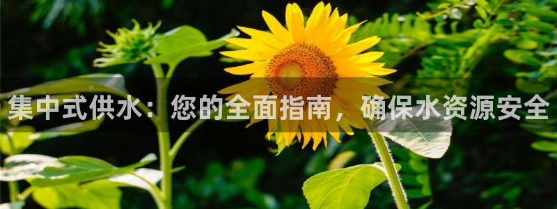 球友会qy怎么进不去