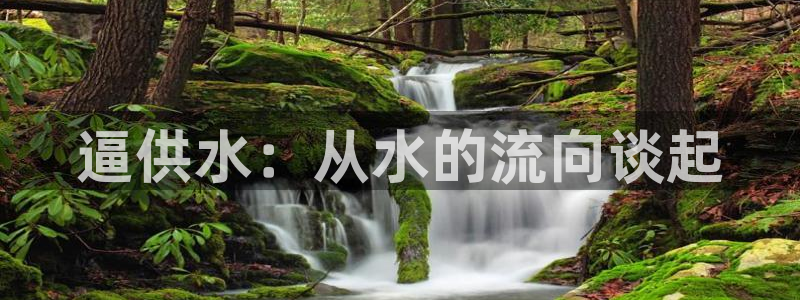 qy球友会体育(中国)官方网站